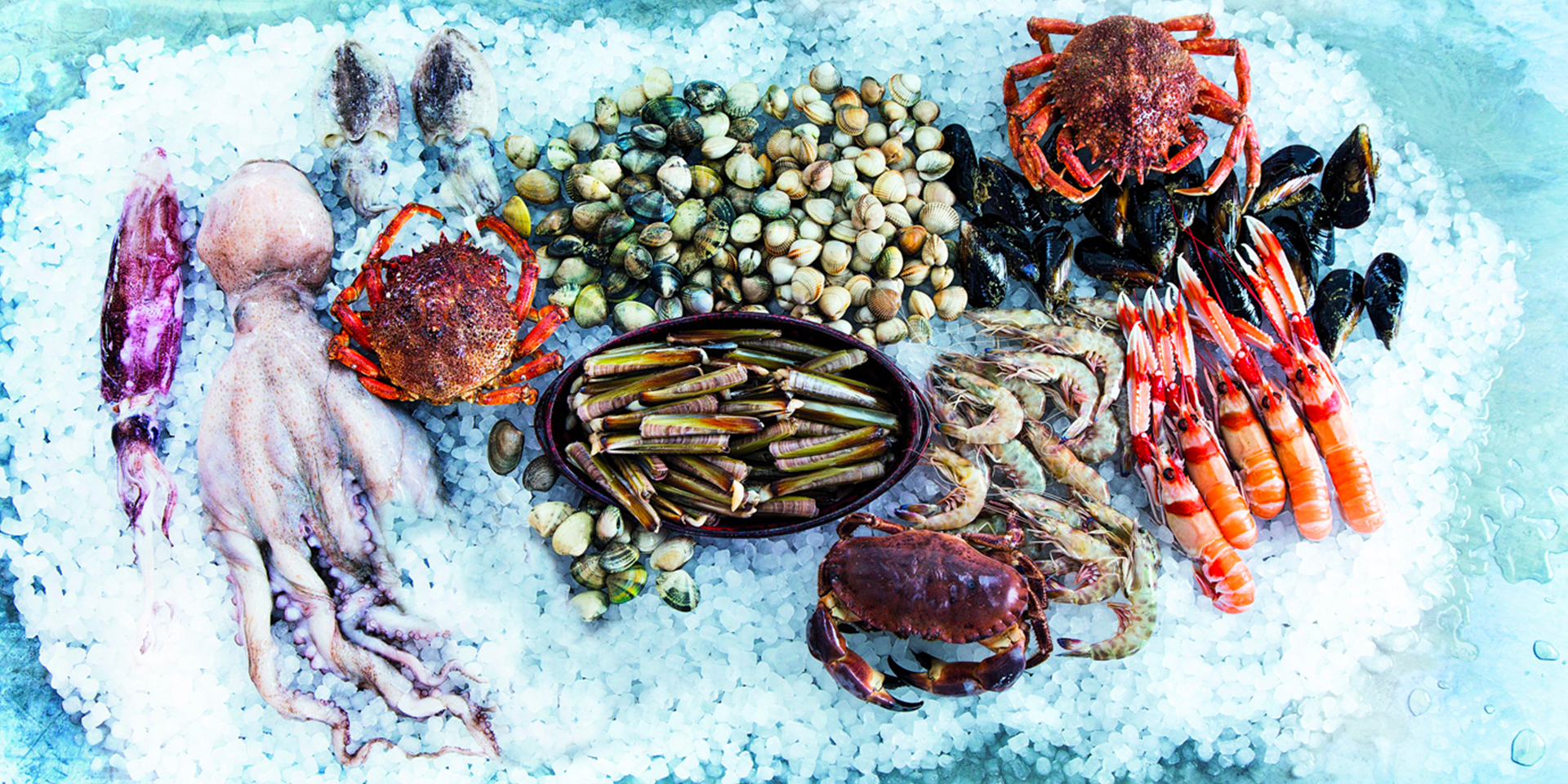 Cada día seleccionamos los mejores tesoros del mar para llevar a tu mesa