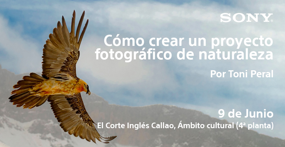 Taller: Cómo crear un proyecto fotográfico de naturaleza