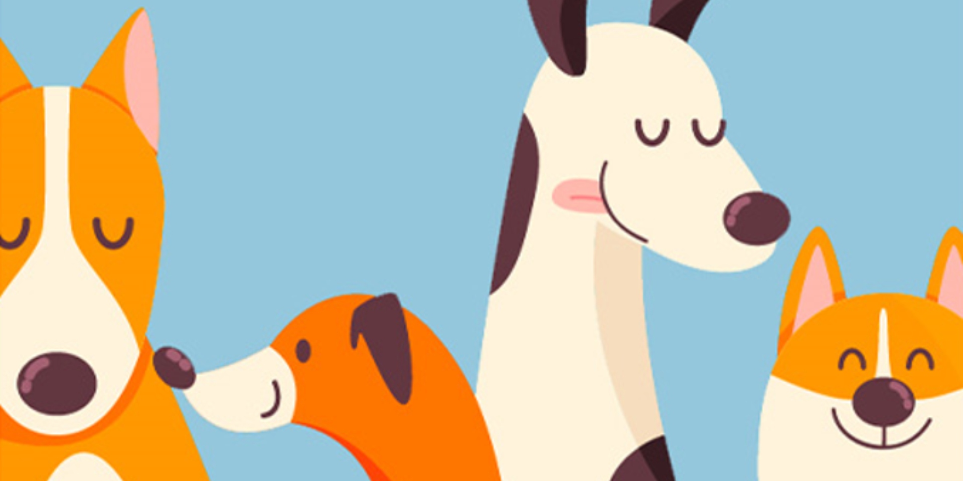 Evento «Con tu mascota»