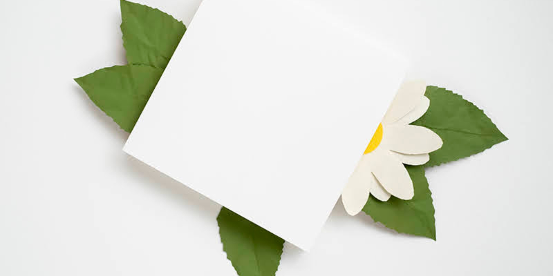 Dolça libreta: Taller familiar 'Herbario de Primavera'