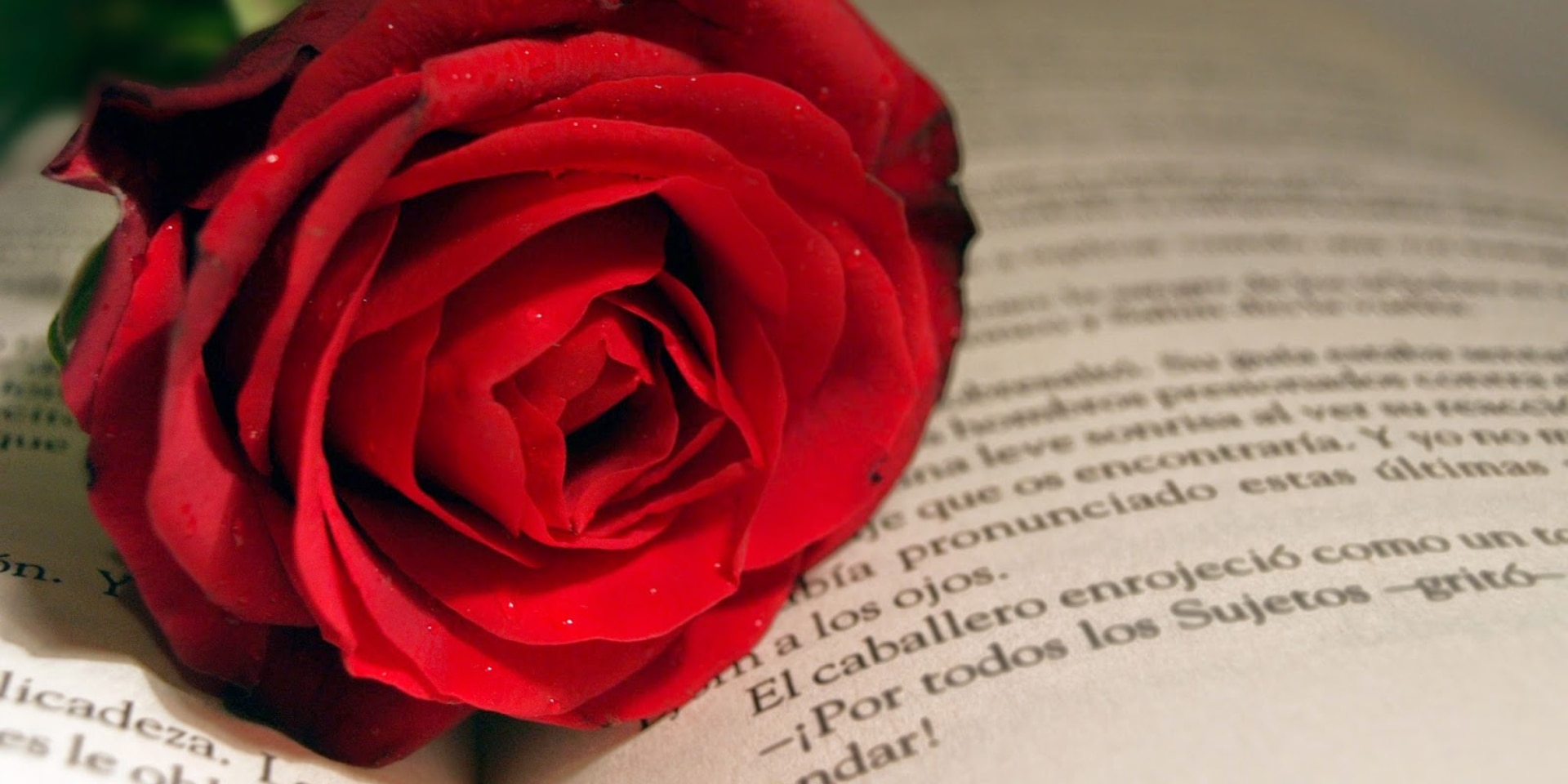 SANT JORDI 2025