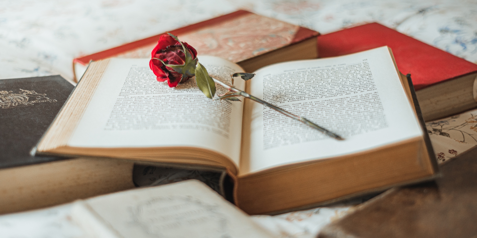 Día del libro: Lectura continuada de 'Don Quijote de la Mancha'