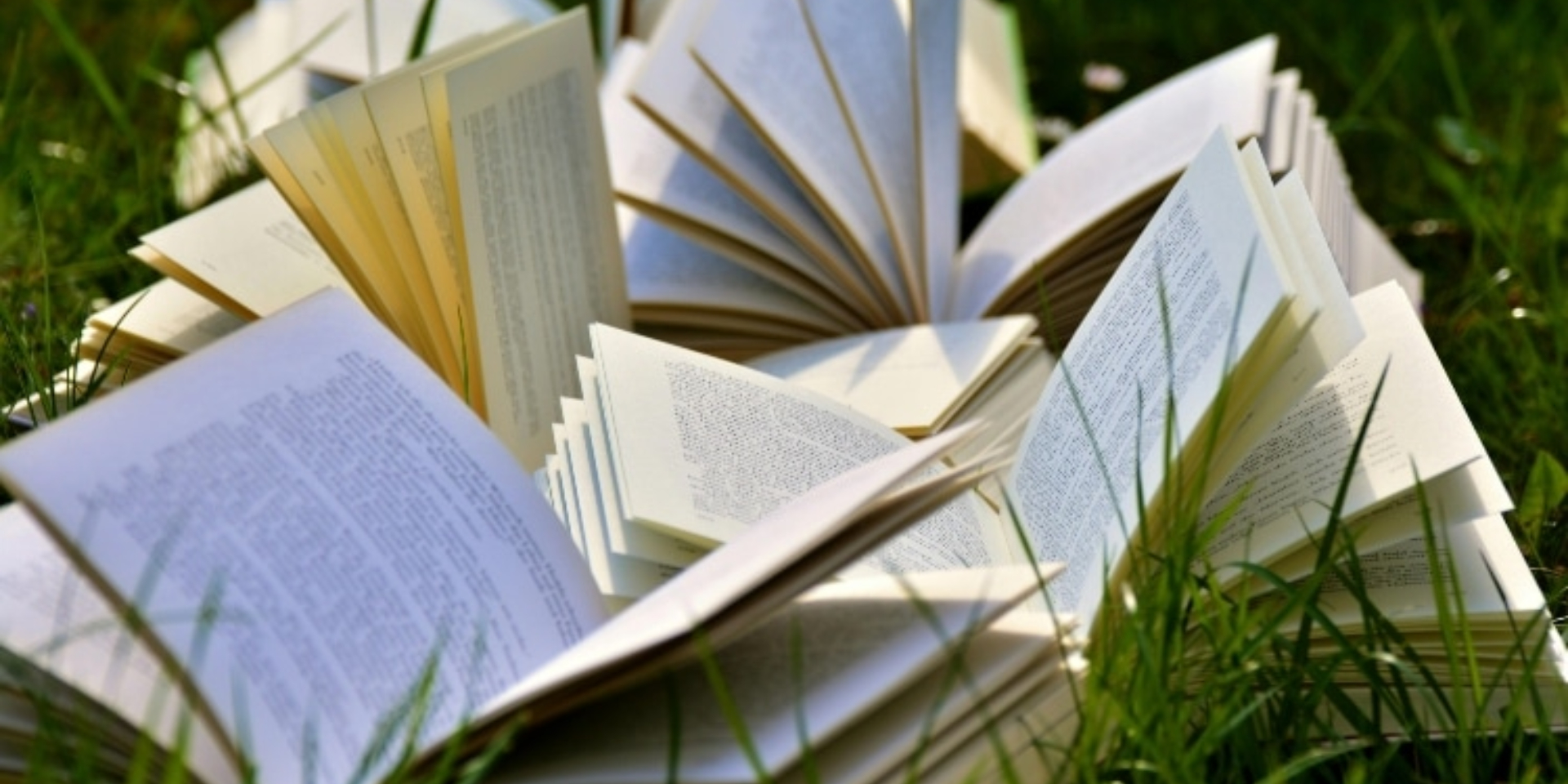 STORYTELLING: Gina Ginger and Charlie Chives: The fancy dress dilemma