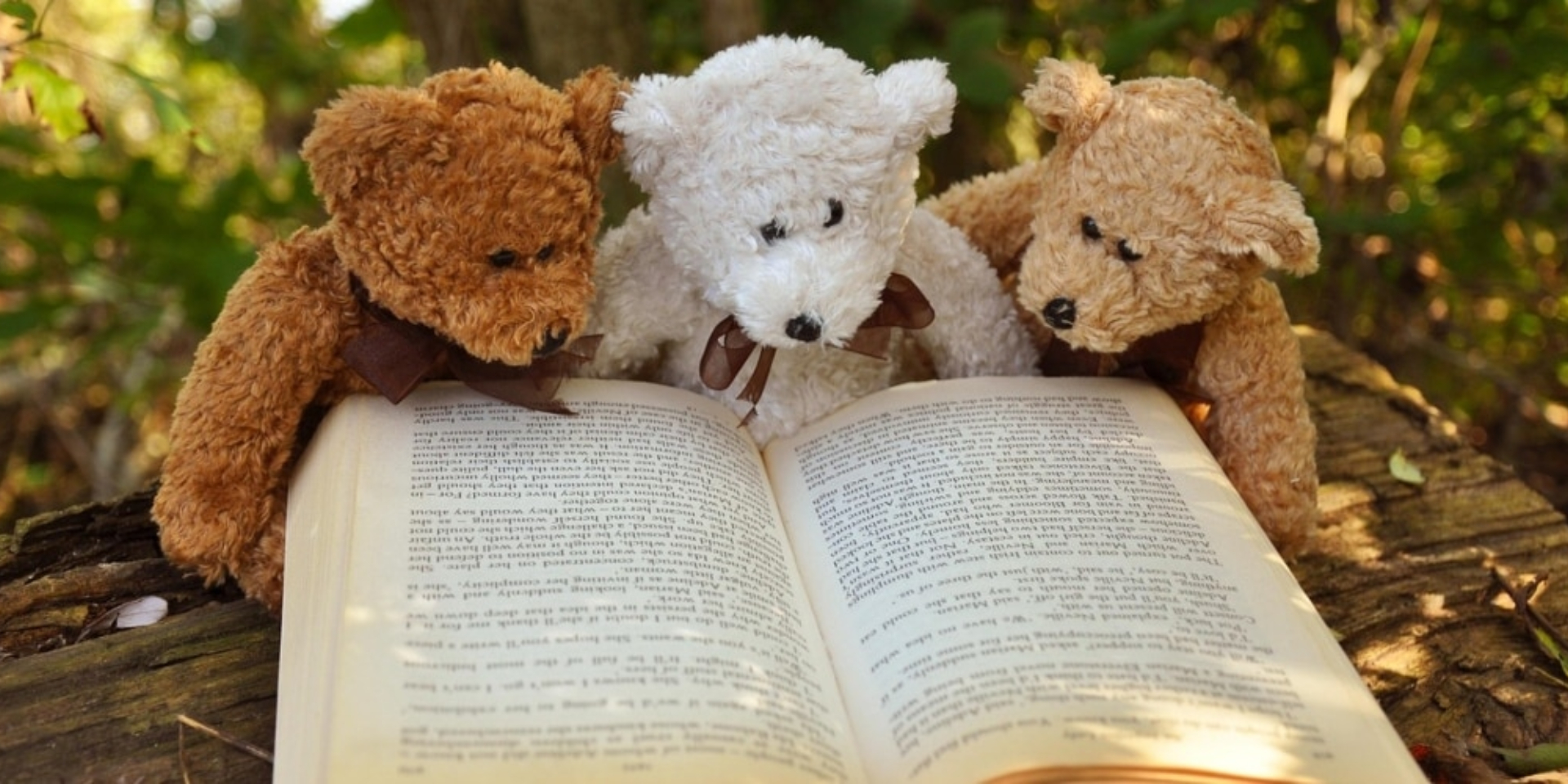 STORYTIME: The Farmyard!
