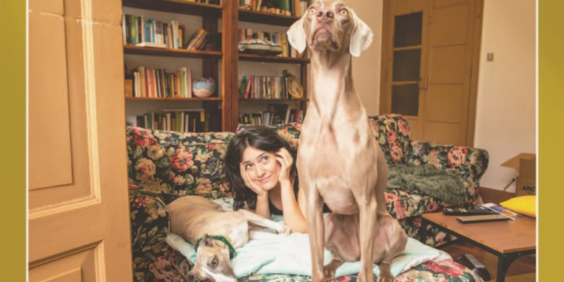 Gatocan solidarity calendar