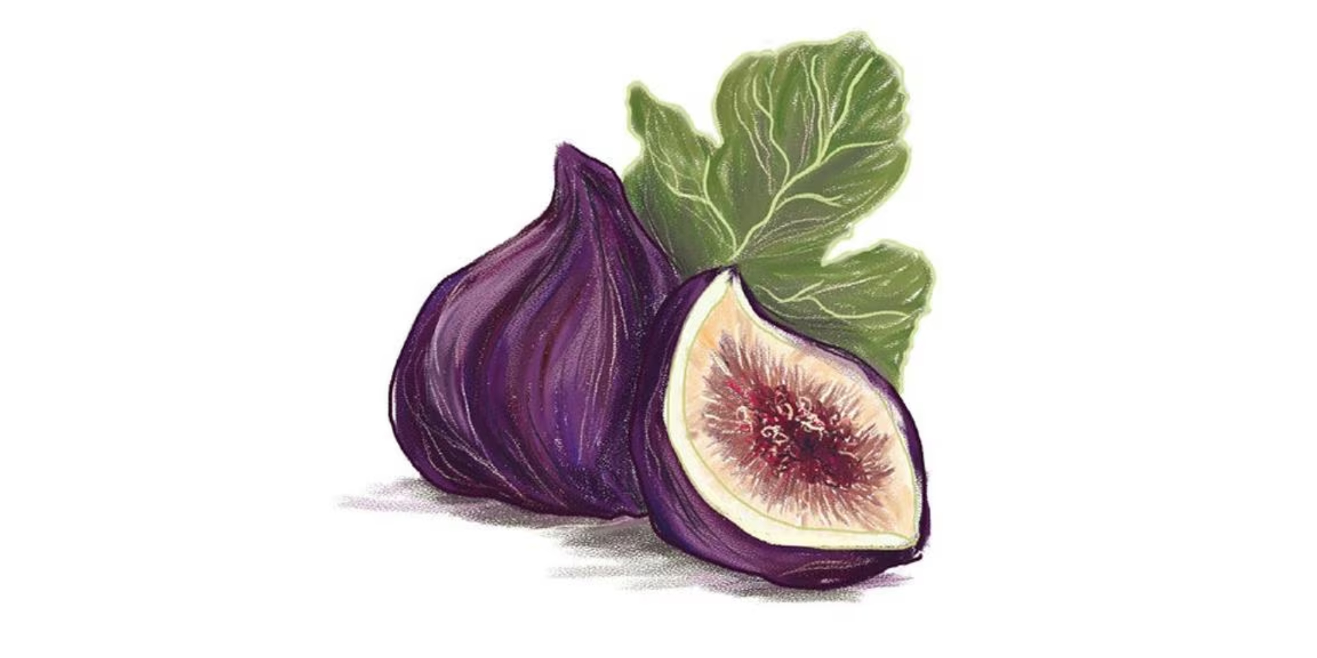 FIRMA DE LIBROS "MEVAK by Kalon"