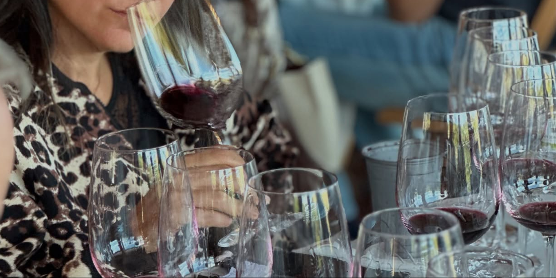 CATA DE VINOS: BODEGA MARQUÉS DE VARGAS