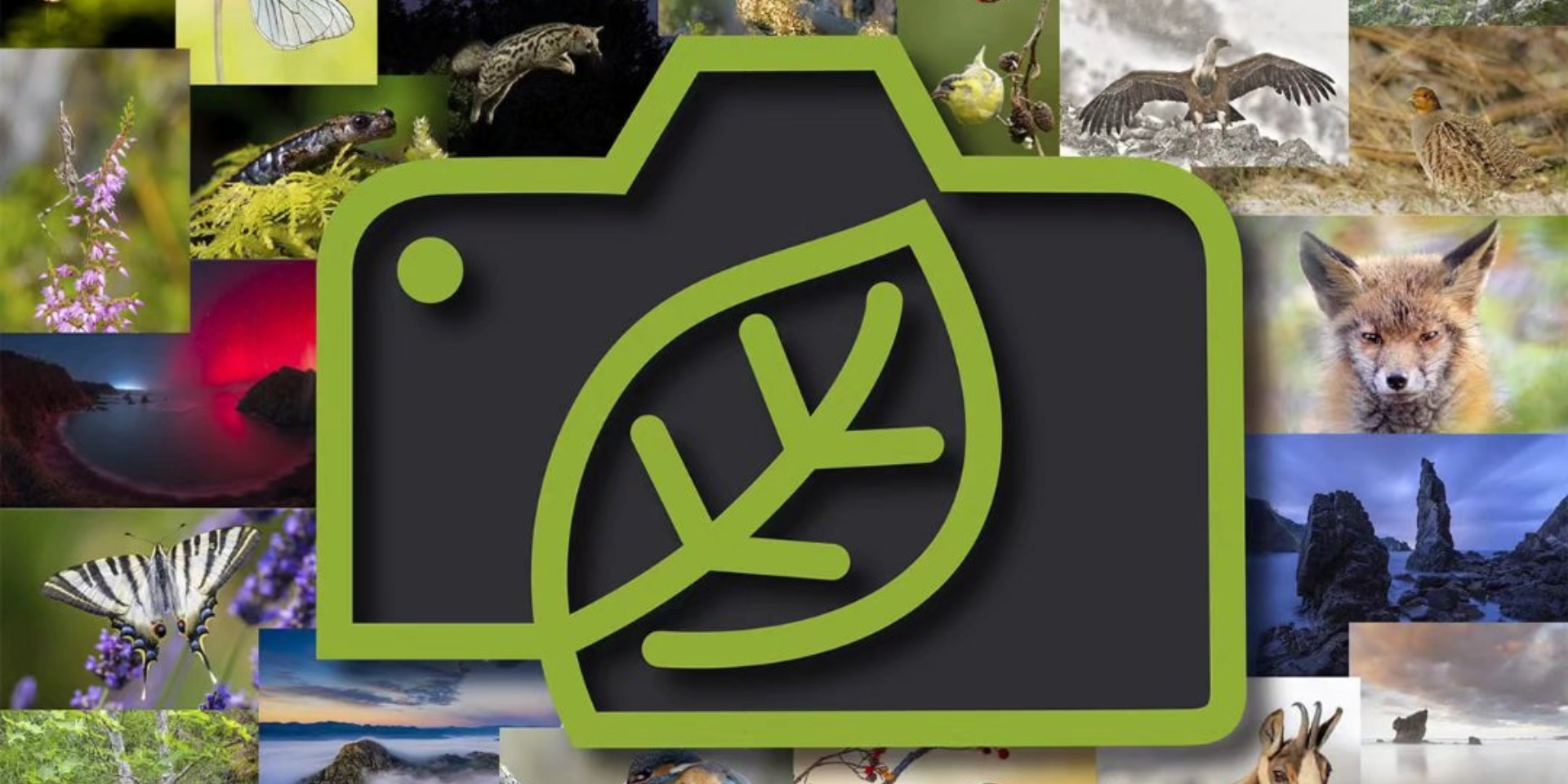 Exposición fotográfica 'Asturias, naturalmente, 2025'