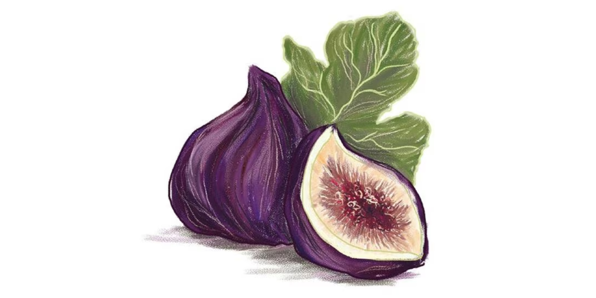 Paula notario firma su libro 'Mevak'