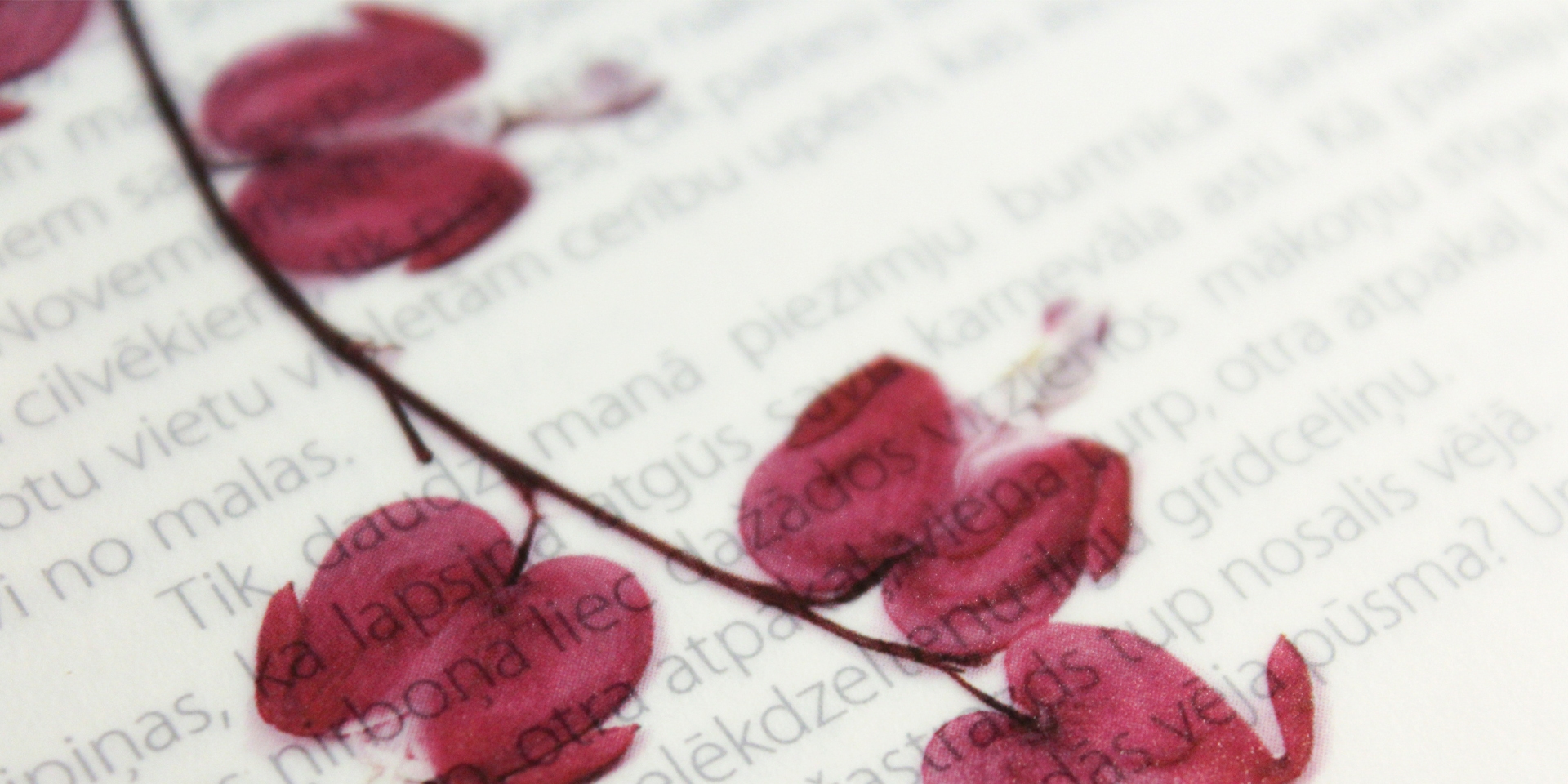 Hugo Mujica y Pablo Rosal en el Real Jardín Botánico – CSIC.  Día Mundial de la Poesía