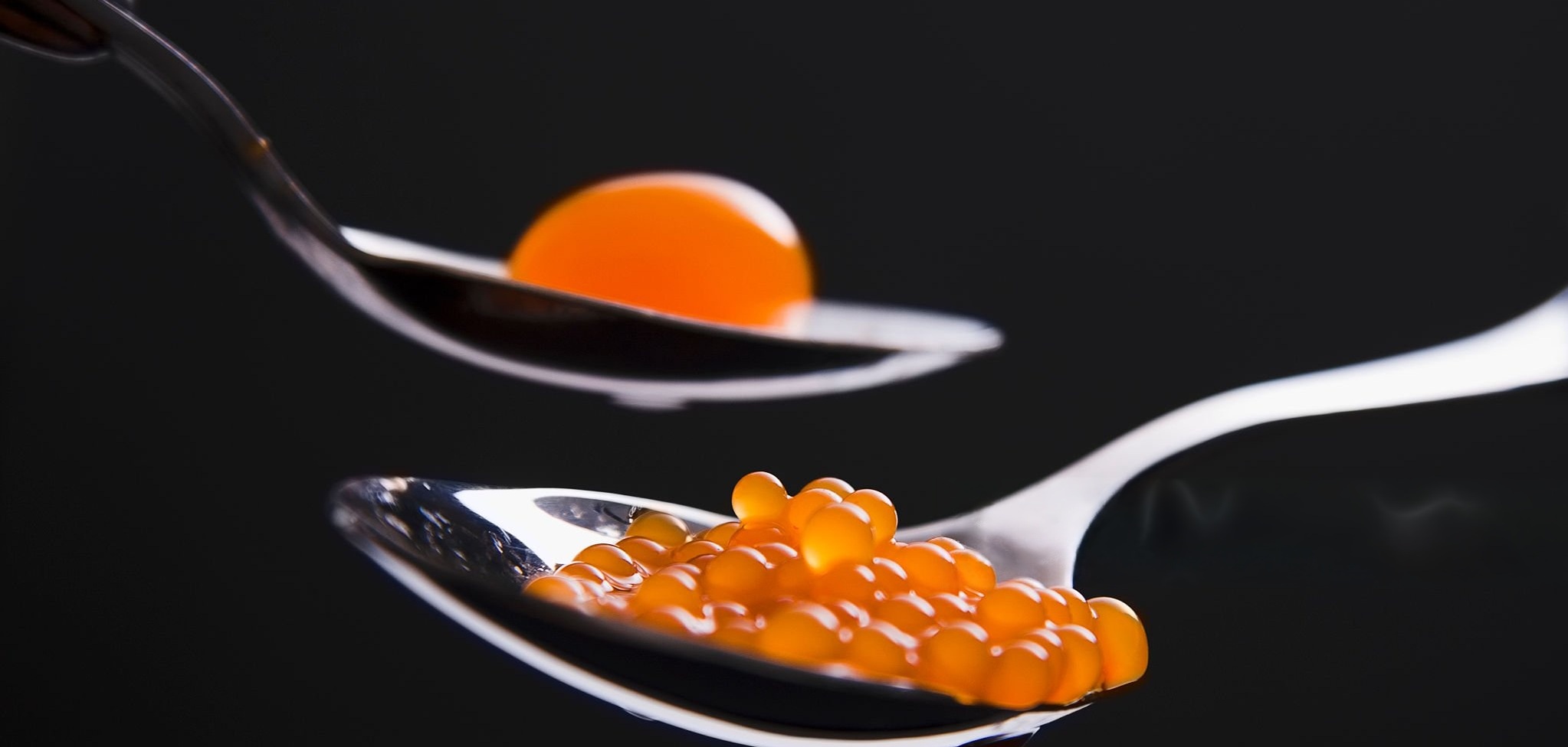 CONFERENCIA “DE LOS PAPARAJOTES A LA GASTRONOMÍA MOLECULAR: LA CIENCIA EN LA COCINA MURCIANA”