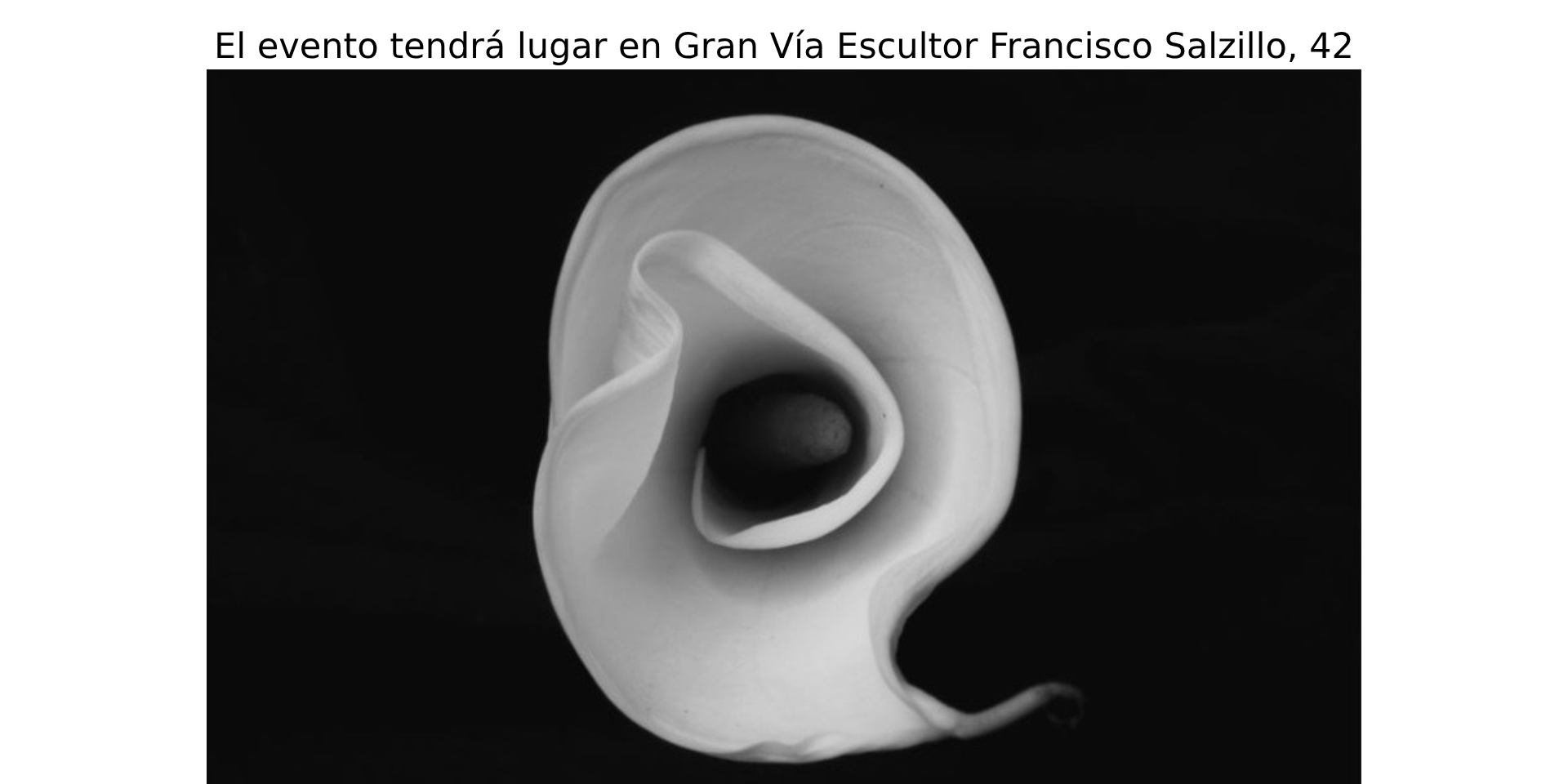 EXPOSICIÓN FOTOGRÁFICA “EFÍMERA”