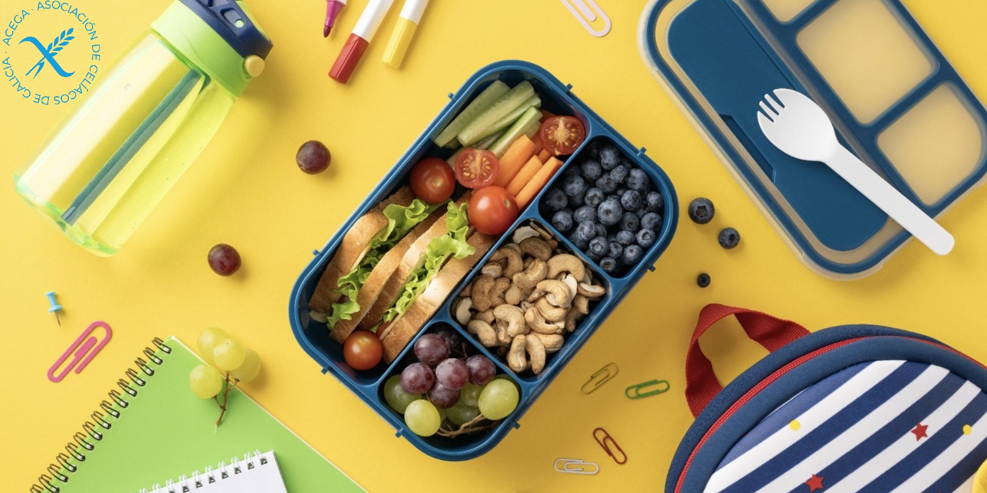Informative talk on coeliac disease in school centres