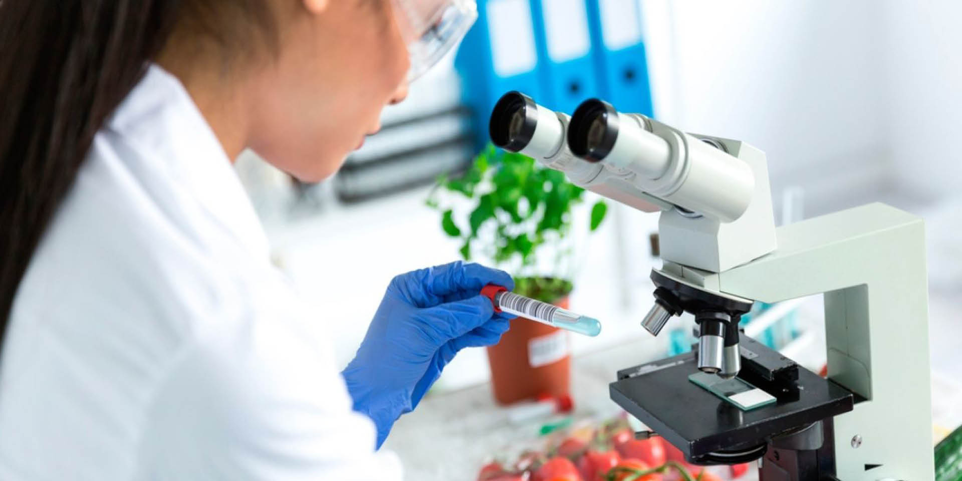 Gastronomía aragonesa en femenino