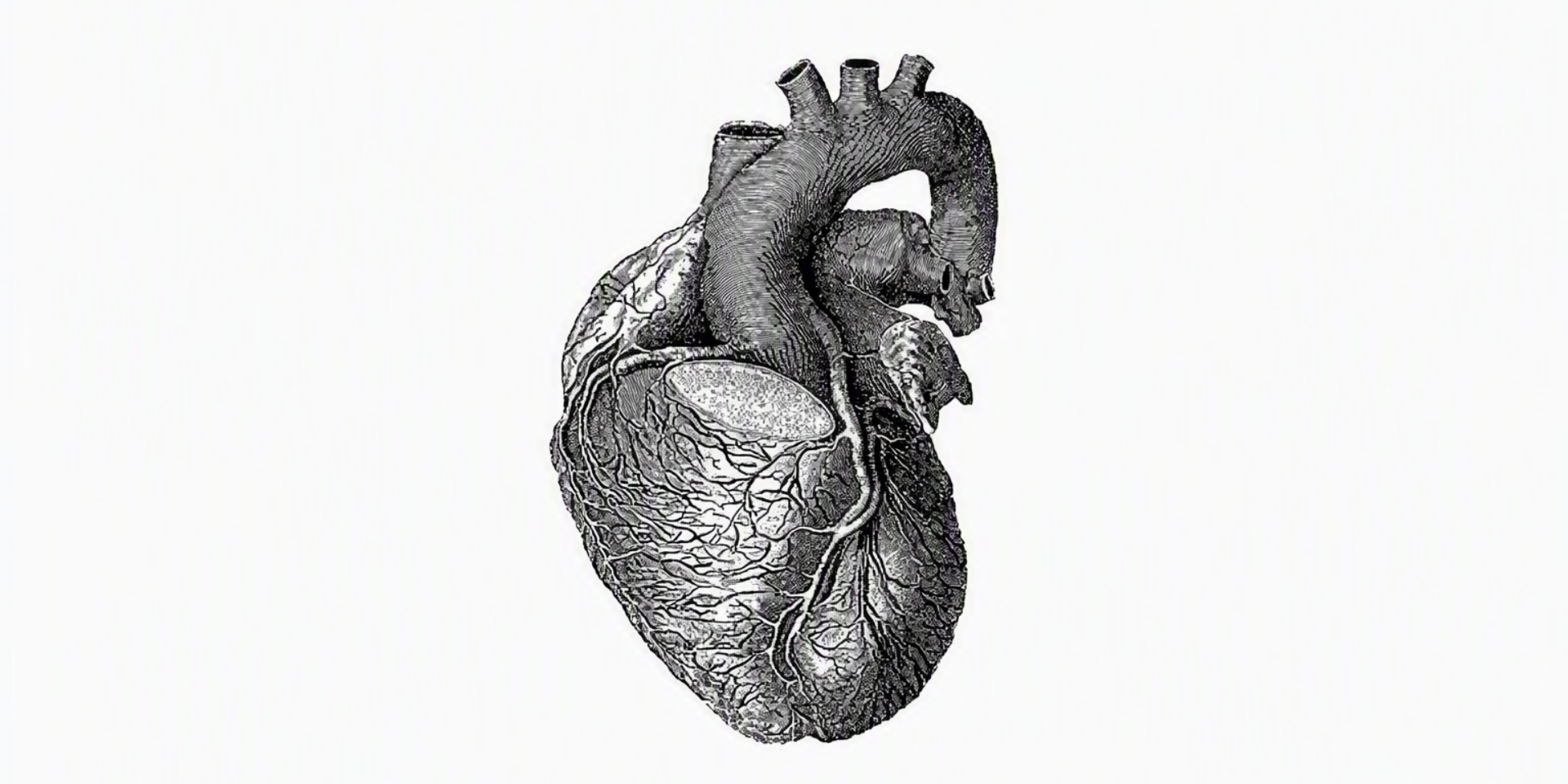 Presentation of “Mar de estío. Cien relatos con corazón”, by Fernando Portolés