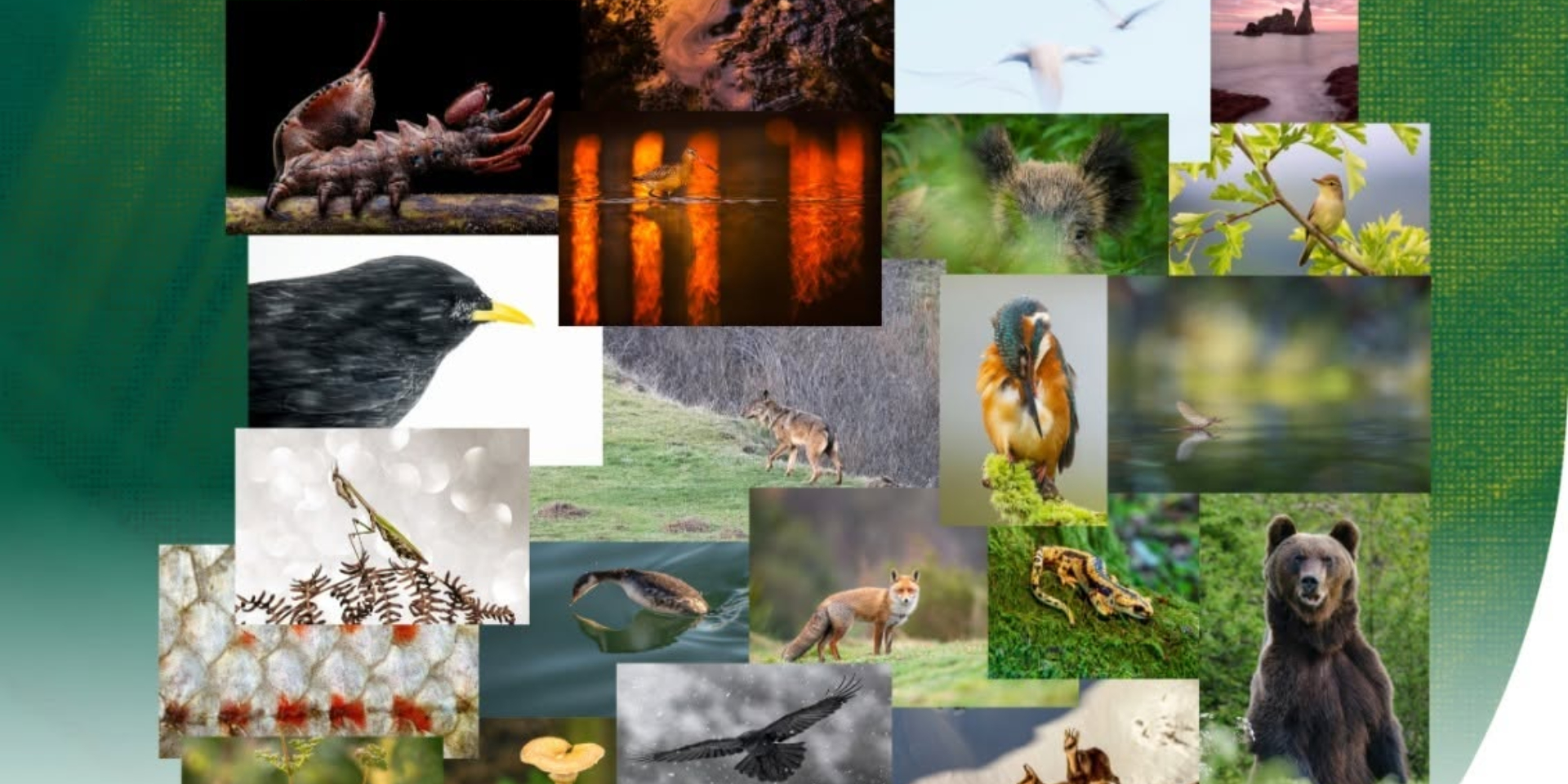 Exposición fotográfica "Asturias, naturalmente 2026"