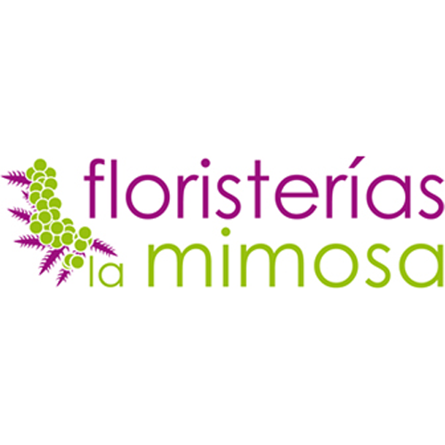 Floristería: La Mimosa