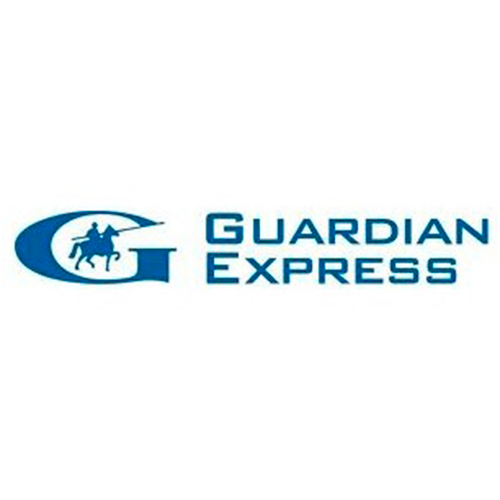 Reparación de lunas de vehículos: Guardián express