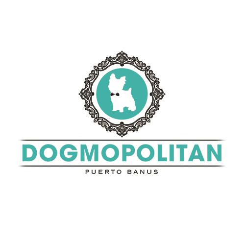 Centro de peiteado e spa para cans e gatos: DOGMOPOLITAN BANÚS