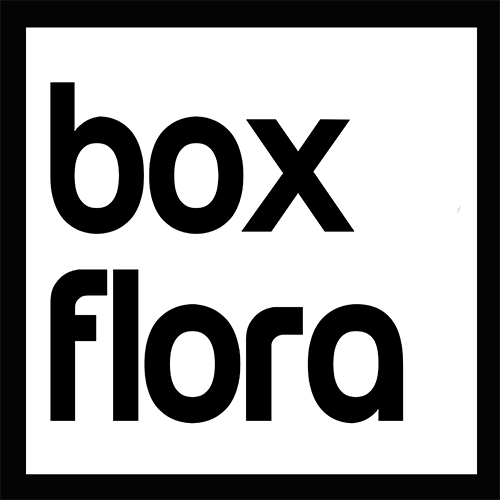 Floristería: BoxFlora