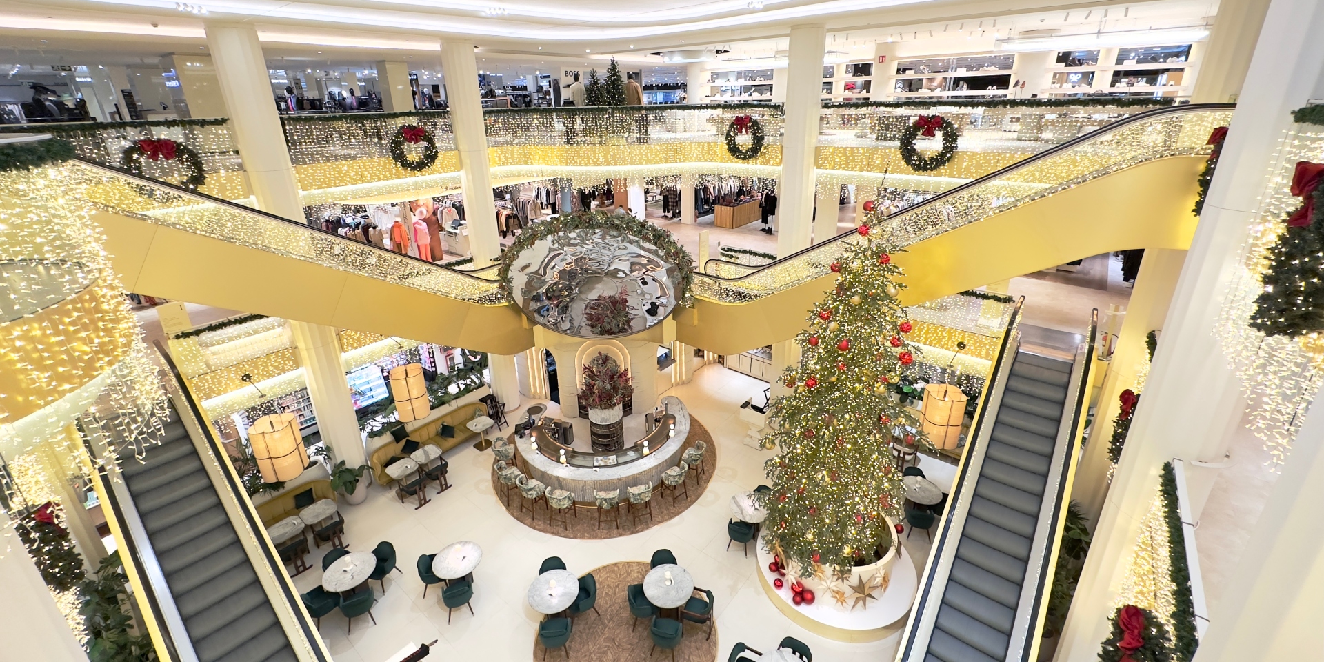 Sueña, celebra, disfruta